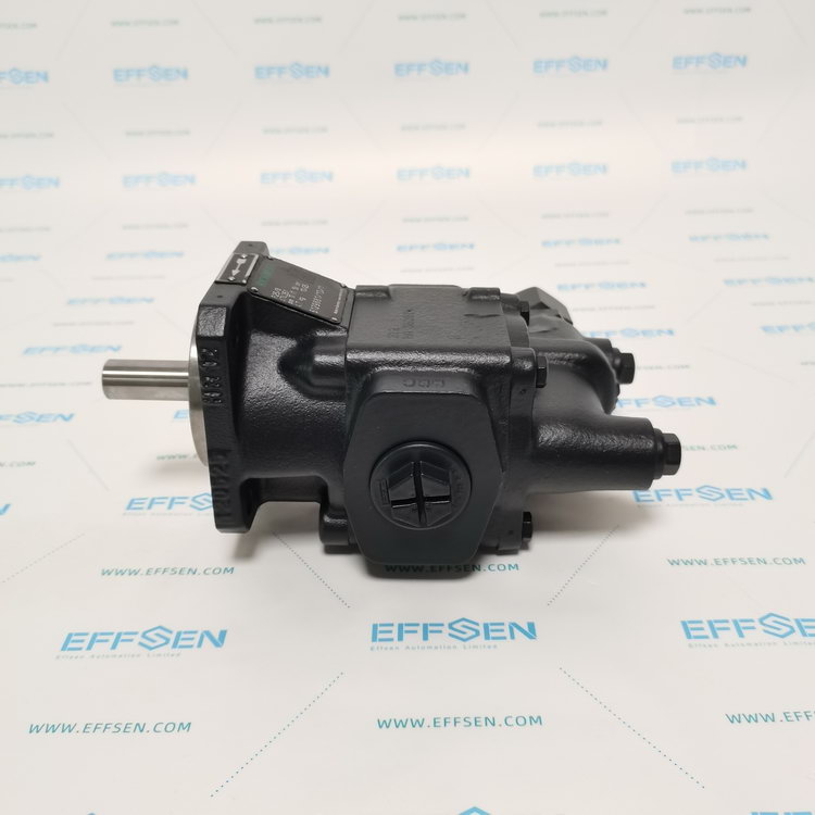 Rickmeier R25/8 FL-Z-DB16-W-G3/4-R-P Gear Pumps