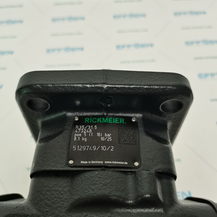 Rickmeier R35/31,5 FL-Z-DB16-W-SAE1.1/2-R-P Gear Pumps