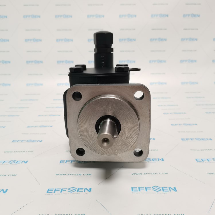 Rickmeier R35/31,5 FL-Z-DB16-W-SAE1.1/2-R-P Gear Pumps