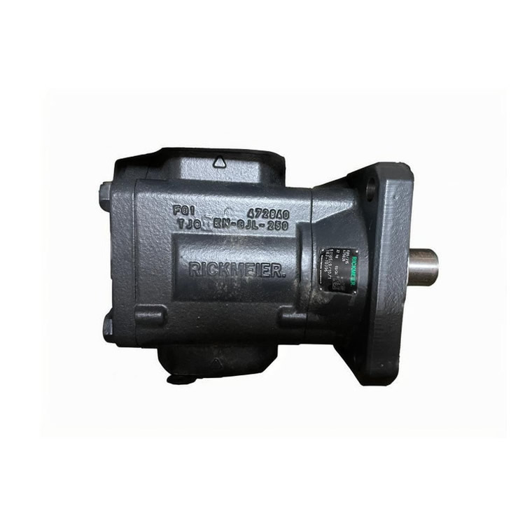 RICKMEIER gear pump R65/315 FL Z