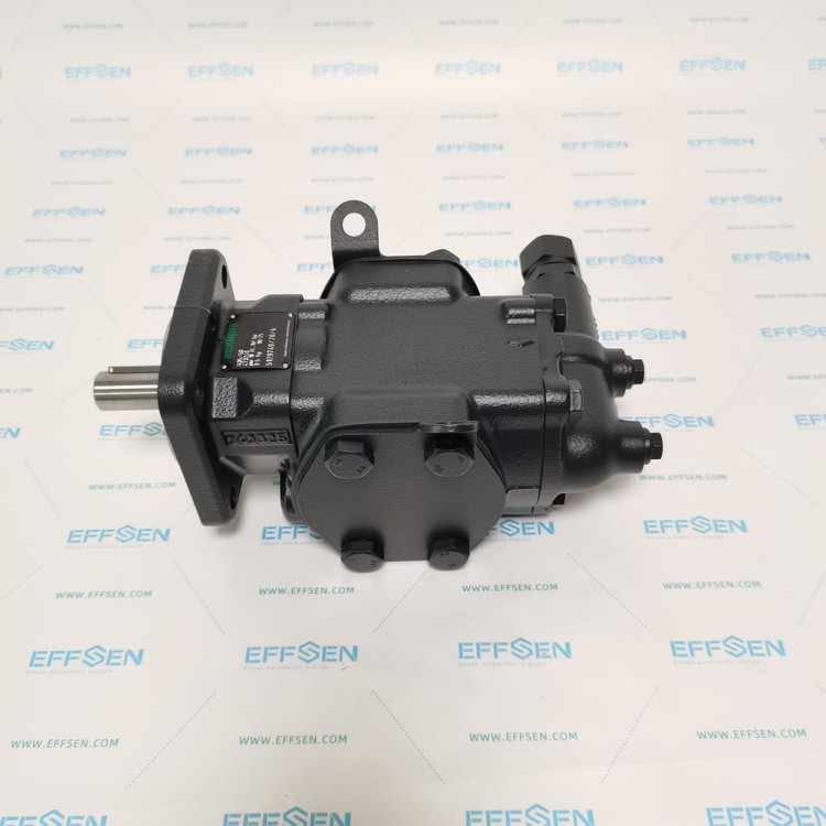 Rickmeier R35/50 FL-Z-DB16-W-SAE2-R-P Gear pump