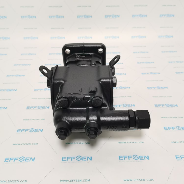 Rickmeier R35/50 FL-Z-DB16-W-SAE2-R-P Gear pump