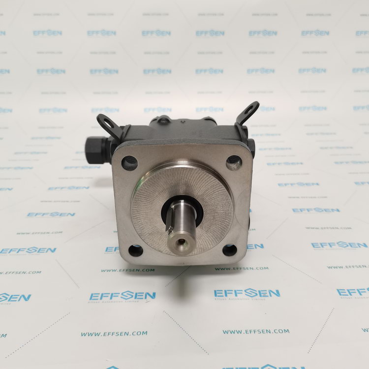 Rickmeier R35/50 FL-Z-DB16-W-SAE2-R-P Gear pump