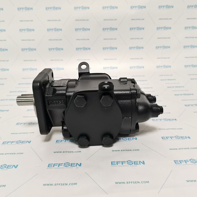 Rickmeier R35/50 FL-Z-DB16-W-SAE2-R-P Gear pump
