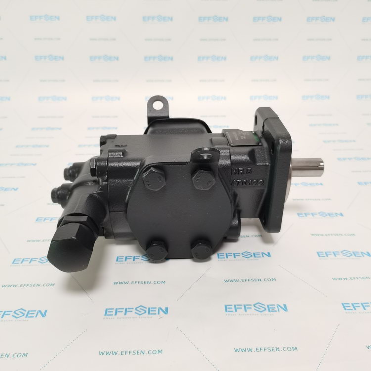 Rickmeier R35/50 FL-Z-DB16-W-SAE2-R-P Gear pump