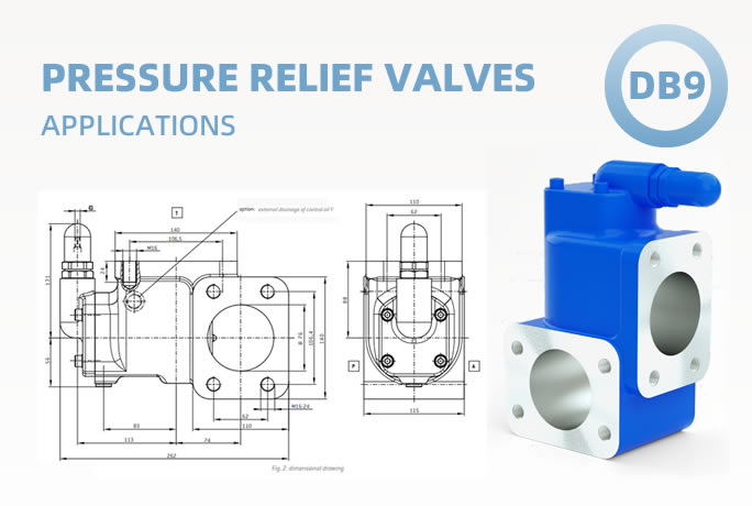 Where is the RICKMEIER DB9 Pressure Relief Valve Applied?