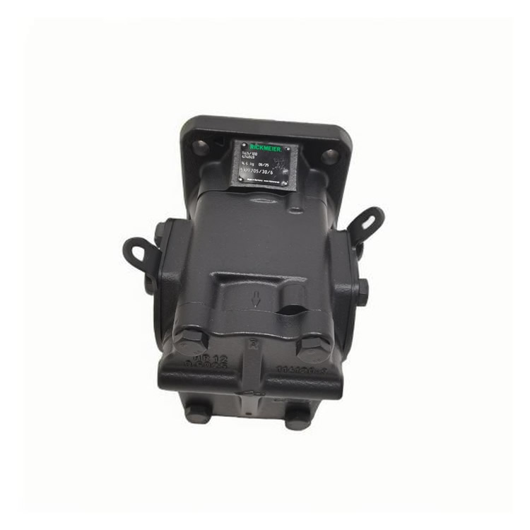 RICKMEIER gear pump R45/100 FL-Z-W-SAE2-R-P