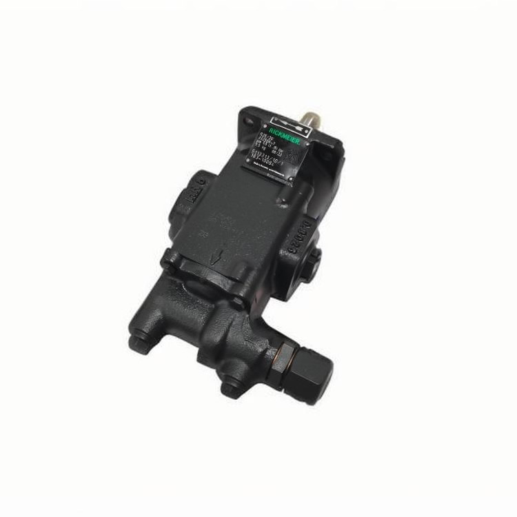 RICKMEIER gear pump R25/20 FL-Z-DB16-W-G1-R