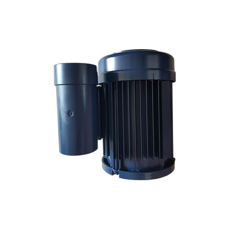 EMGR ECS 63G 4-N1AB-2 Single phase change ­current motors