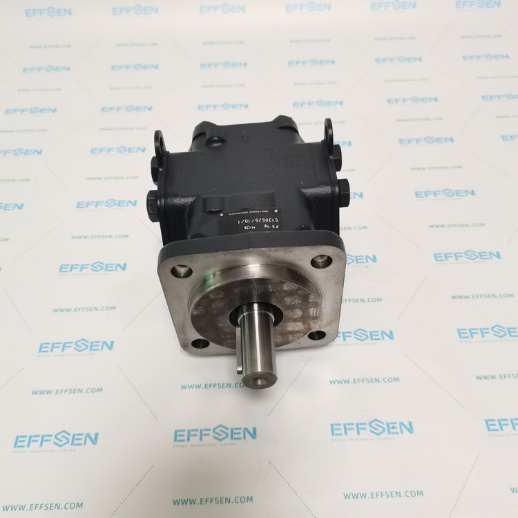 Rickmeier R35/40 FL-Z-W-SAE1.1/2-R-P Gear pumps