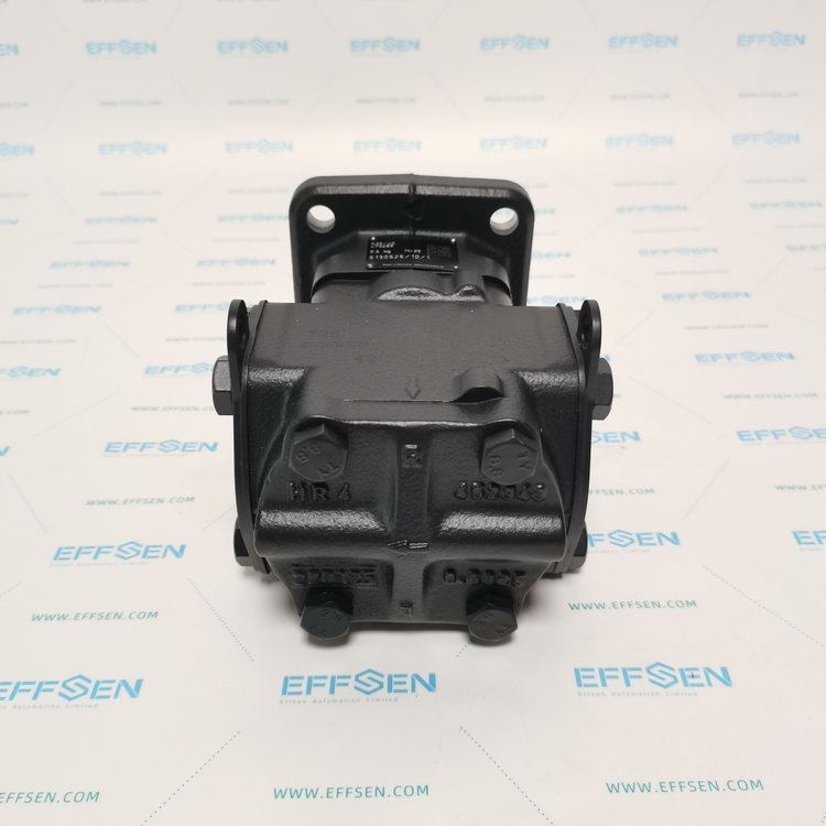 Rickmeier R35/40 FL-Z-W-SAE1.1/2-R-P Gear pumps