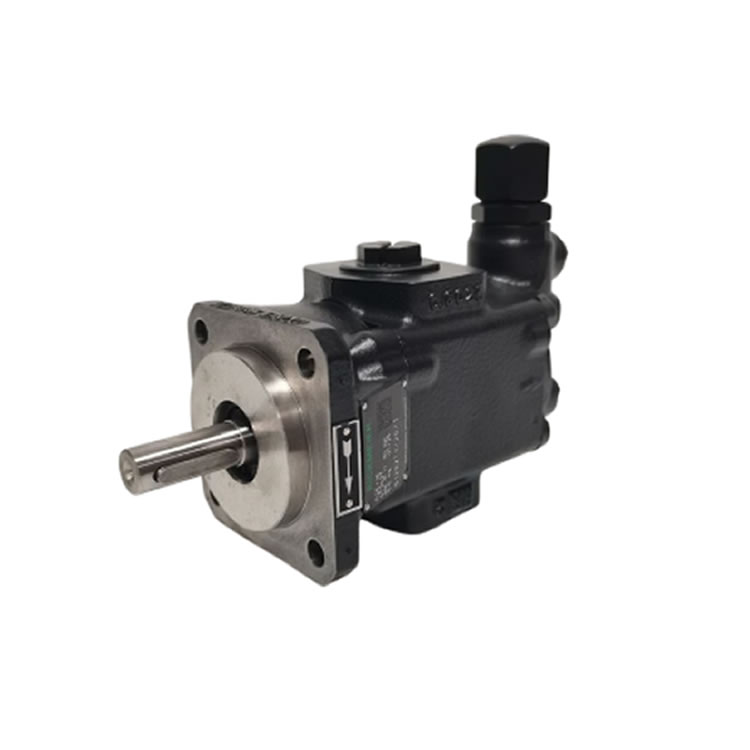 Rickmeier R25/16 FL-Z-DB16-W-G1-R-P Gear pumps