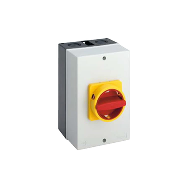 H408-41300-281N4 Disconnect Switch By SALZER