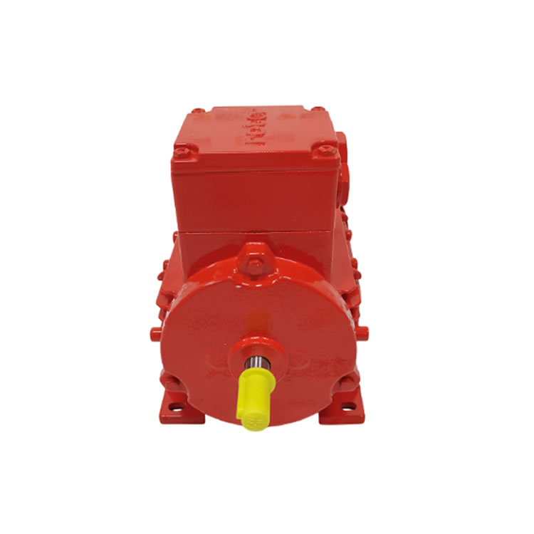 Rotor 5RN63M02E23 Squirrel-cage induction motors