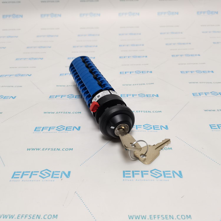 Kraus & Naimer CA10.WAA375.FT1 Rotary cam switches