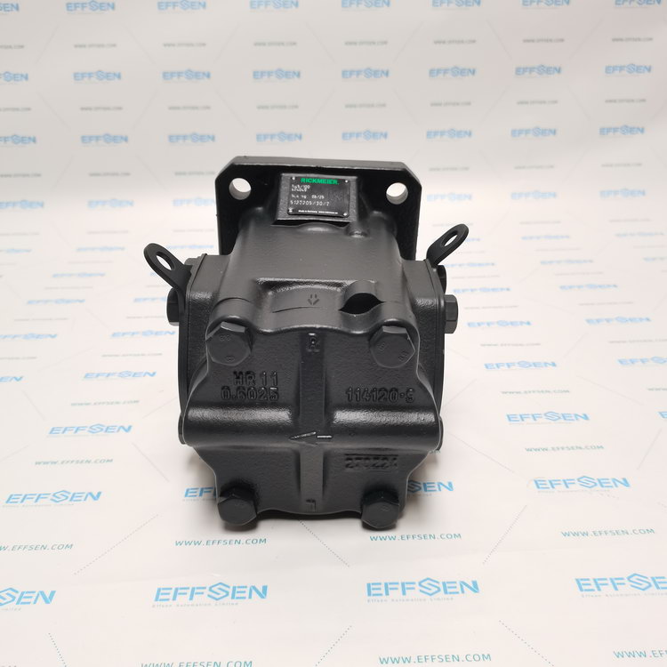 Rickmeier R45/100 FL-Z-W-SAE2-R-P Gear pump