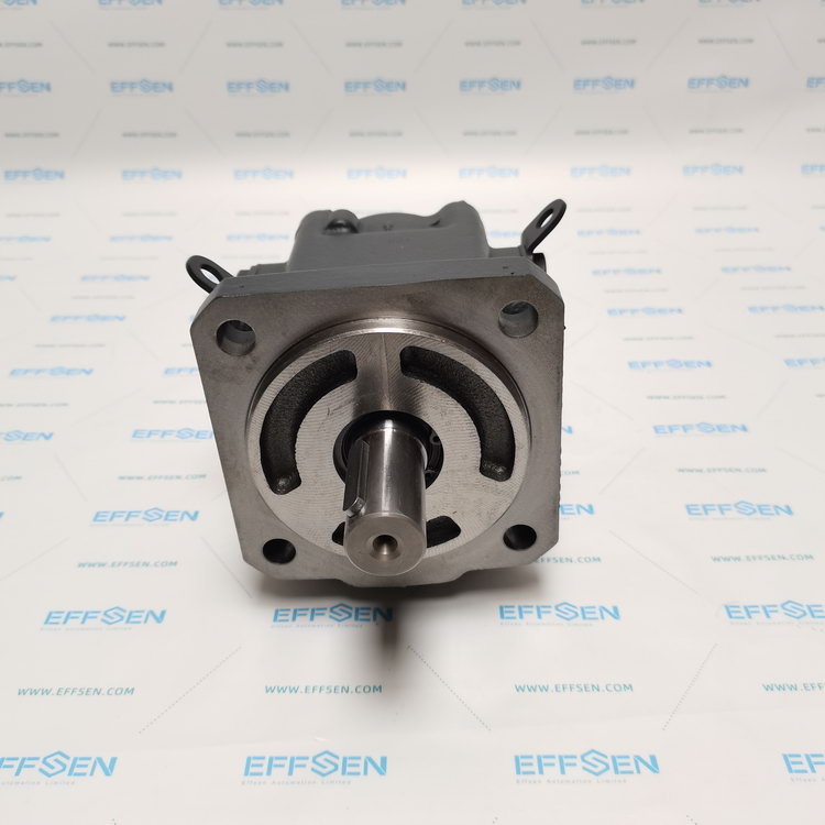 Rickmeier R45/100 FL-Z-W-SAE2-R-P Gear pump