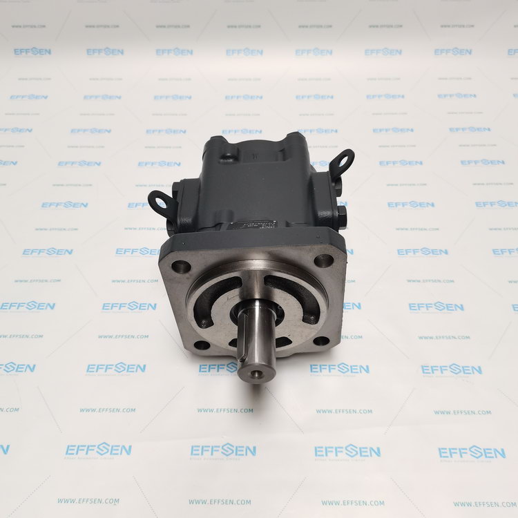 Rickmeier R45/100 FL-Z-W-SAE2-R-P Gear pump