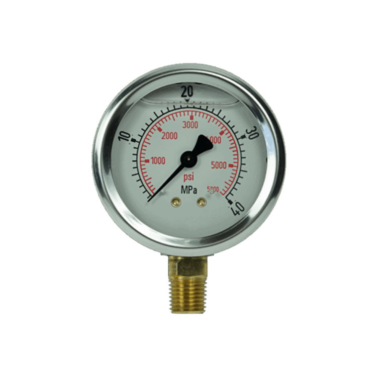 Hydracheck Pressure Gauge HC-40MPA-WG
