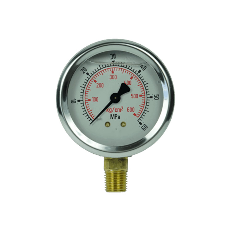 Hydracheck Pressure Gauge HC-60MPA-WG