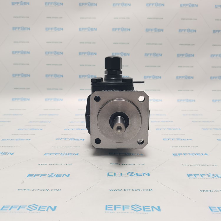 Rickmeier R25/16 FL-Z-DB16-W-SAE1-R-P Gear pumps