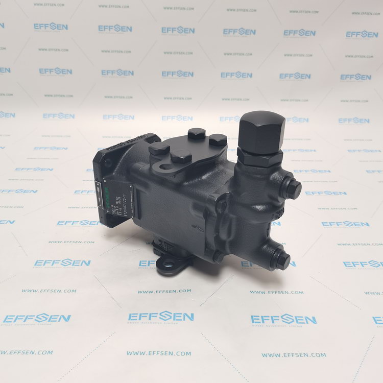 Rickmeier R25/16 FL-Z-DB16-W-SAE1-R-P Gear pumps