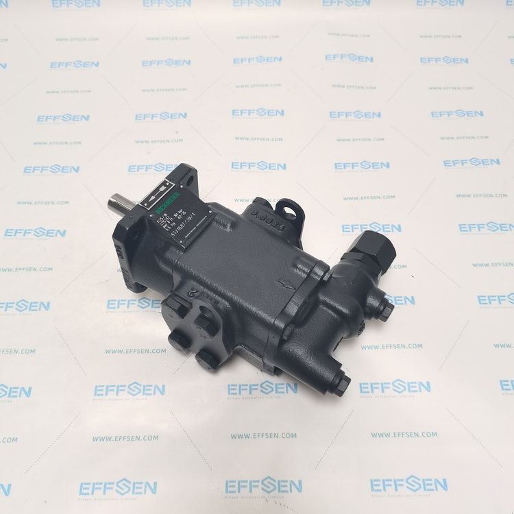 Rickmeier R25/16 FL-Z-DB16-W-SAE1-R-P Gear pumps