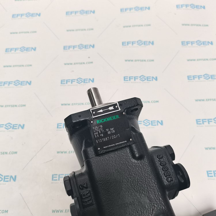 Rickmeier R25/16 FL-Z-DB16-W-SAE1-R-P Gear pumps