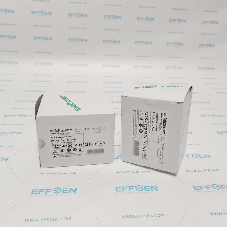 Salzer T225-61004A013M1 Rotary cam switch