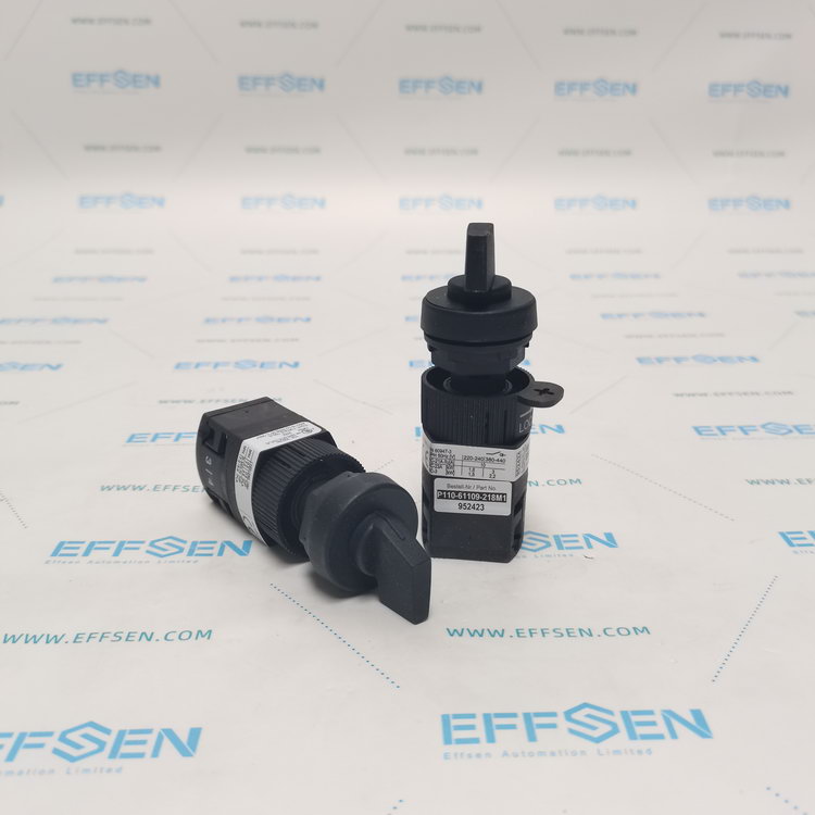 Salzer P110-61109-218M1 Rotary cam switch