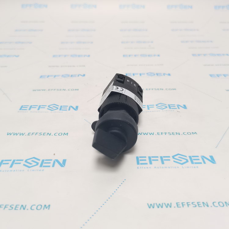 Salzer P110-61109-218M1 Rotary cam switch