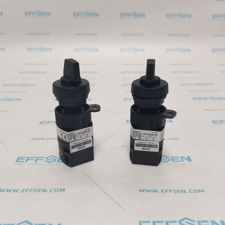 Salzer P110-61109-218M1 Rotary cam switch