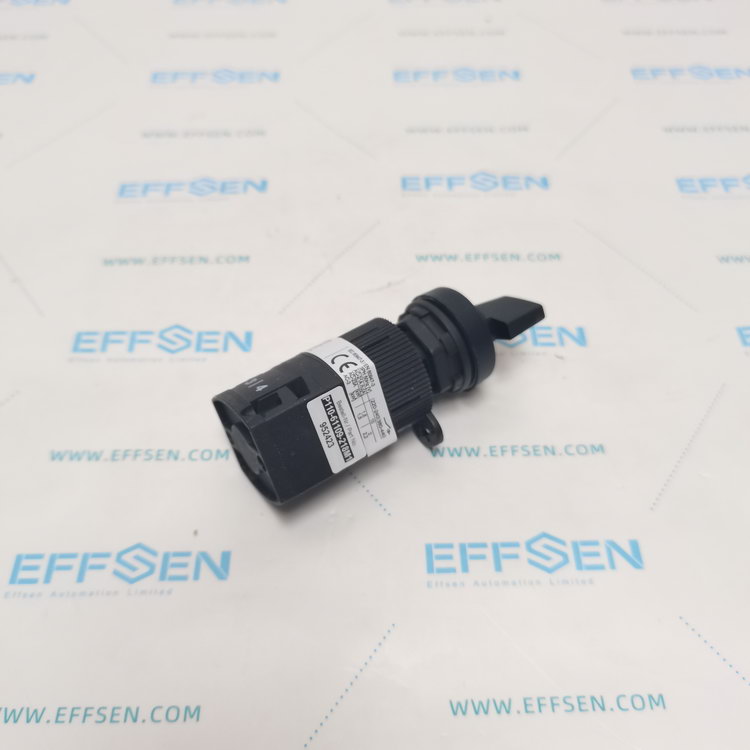 Salzer P110-61109-218M1 Rotary cam switch
