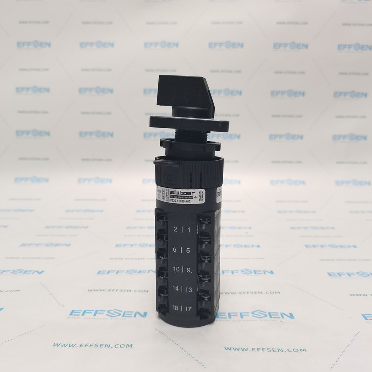 Salzer P220-61089-219M1 Rotary cam switch