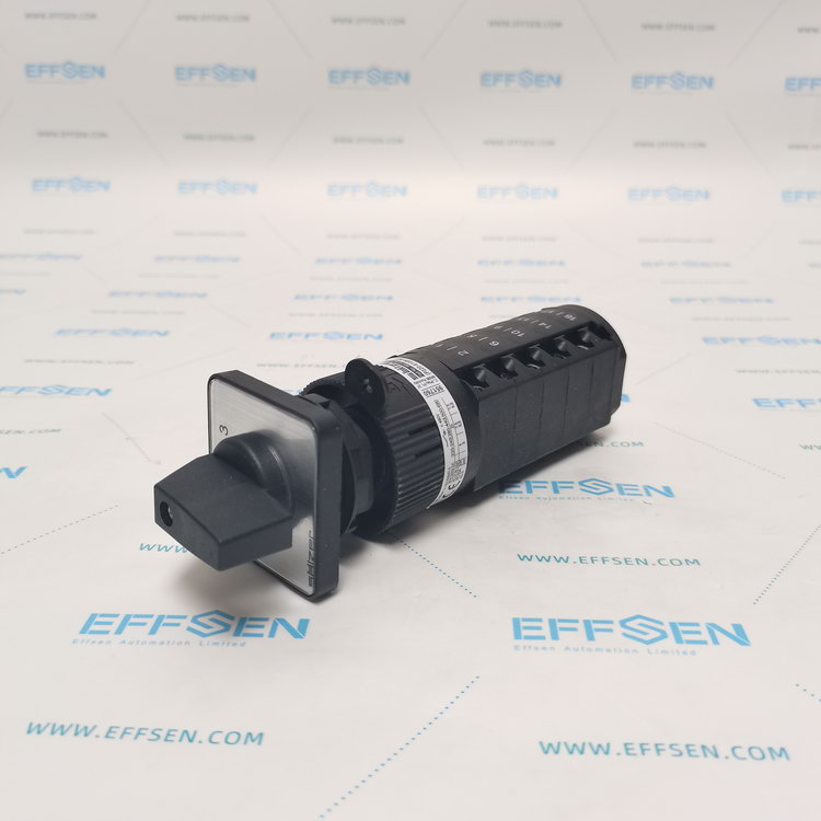 Salzer P220-61089-219M1 Rotary cam switch