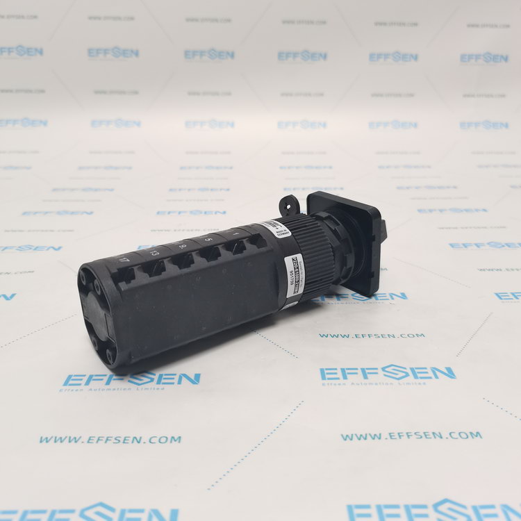 Salzer P220-61089-219M1 Rotary cam switch