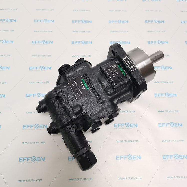 Rickmeier R35/40 FL-Z-DB16-GLRD(U)-SAE1.1/2-R-P Gear pumps