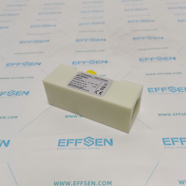 Senseca FW1-020GP011 Flow Switch