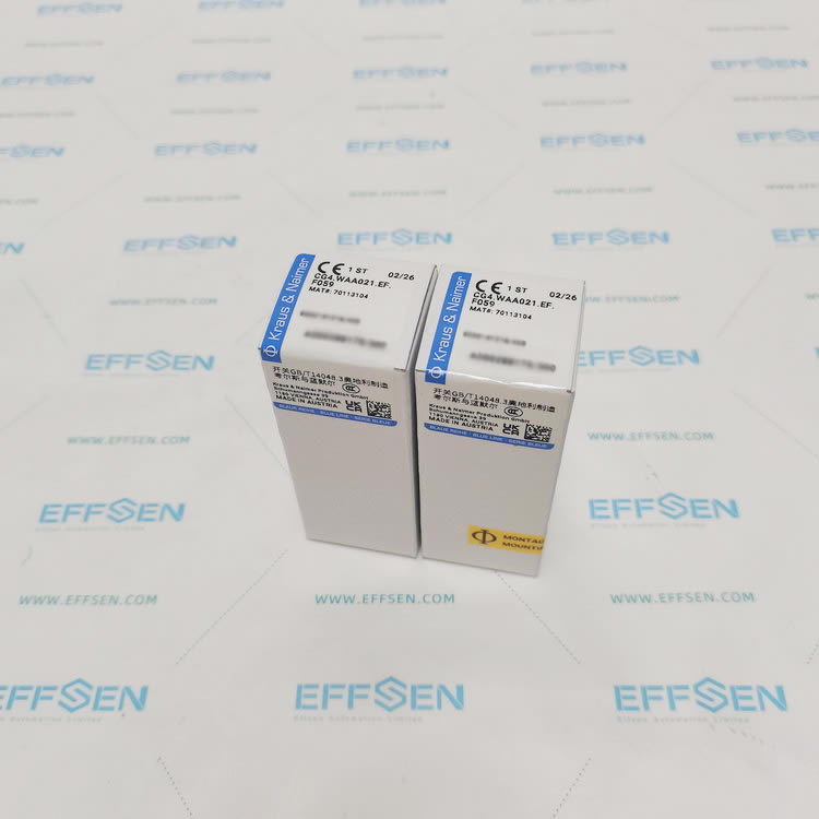 Kraus & Naimer CG4.WAA021.EF.F059 Cam switch