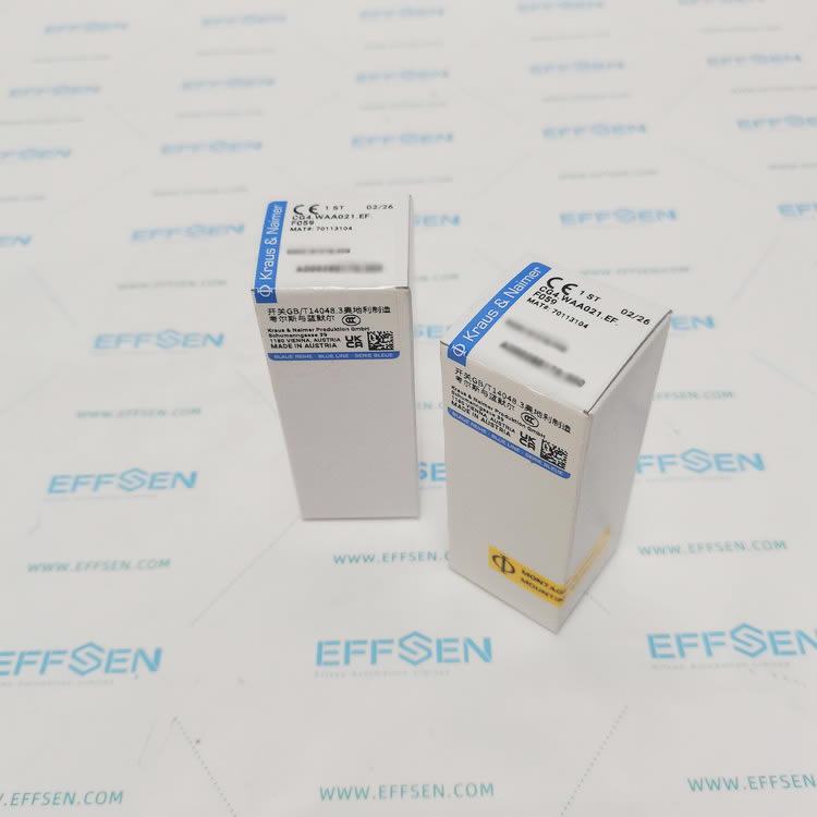 Kraus & Naimer CG4.WAA021.EF.F059 Cam switch