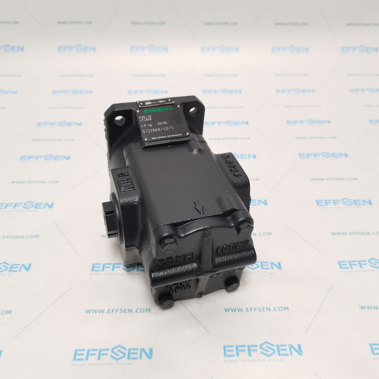 Rickmeier R25/16 FL-Z-W-G1-L-SO Gear pump