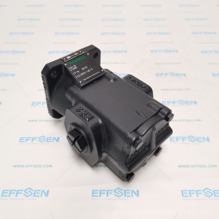 Rickmeier R25/16 FL-Z-W-G1-L-SO Gear pump