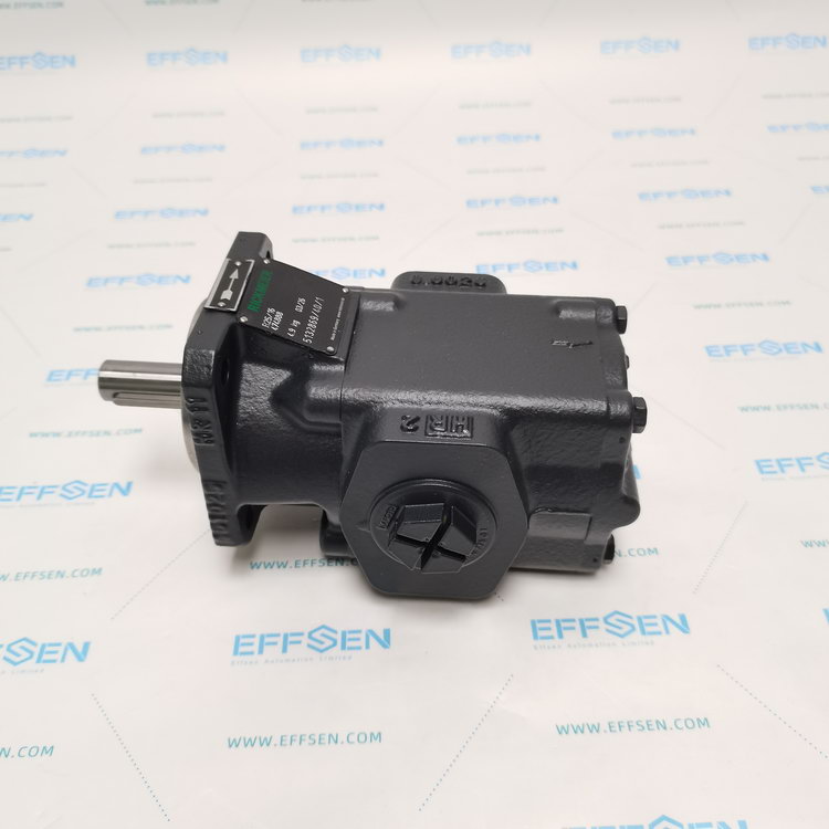 Rickmeier R25/16 FL-Z-W-G1-L-SO Gear pump
