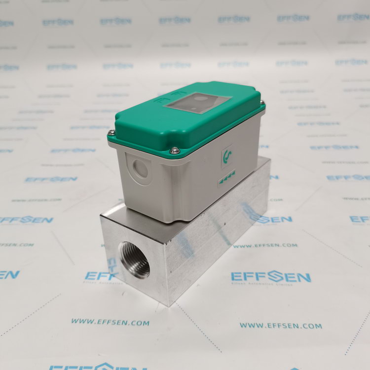 CS Instruments 0695.5250 Flow meter