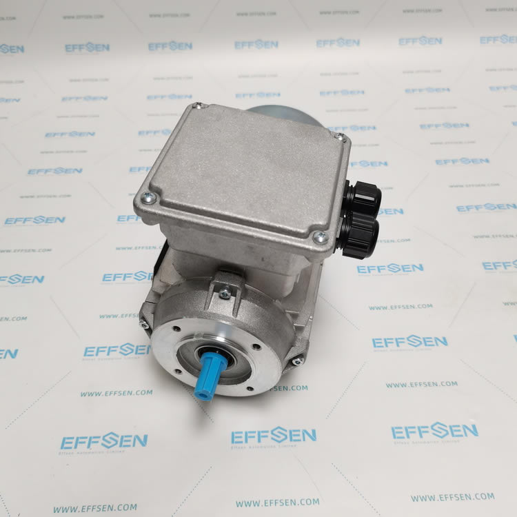STM Neri Motori AI56B 009 4P B14 TCC 24V MULT 3-phase asynchronous brake motor