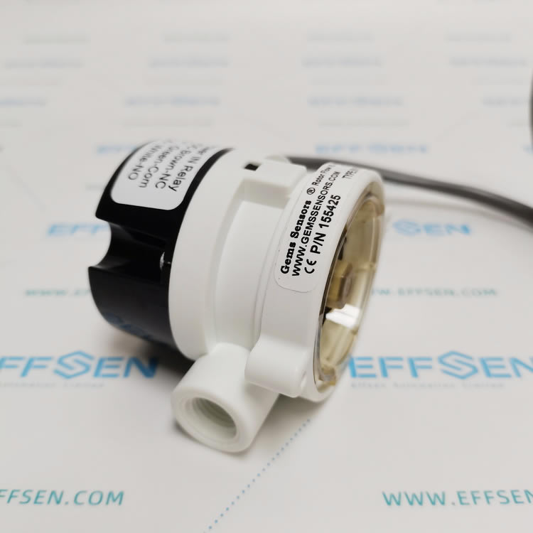 Gems 155425 RotorFlow® liquid Flow Switch