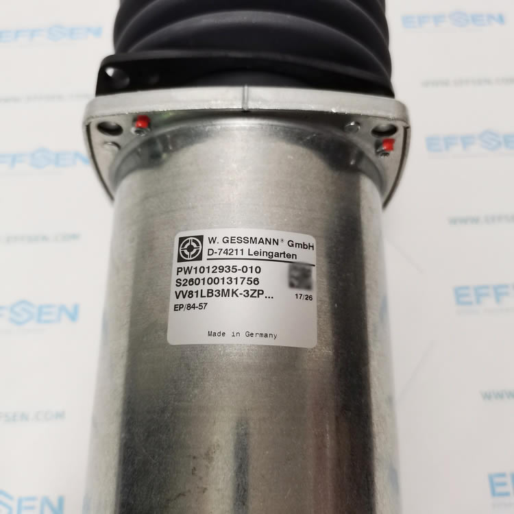Gessmann PW1012935-010 industrial multi‑axis joystick controller