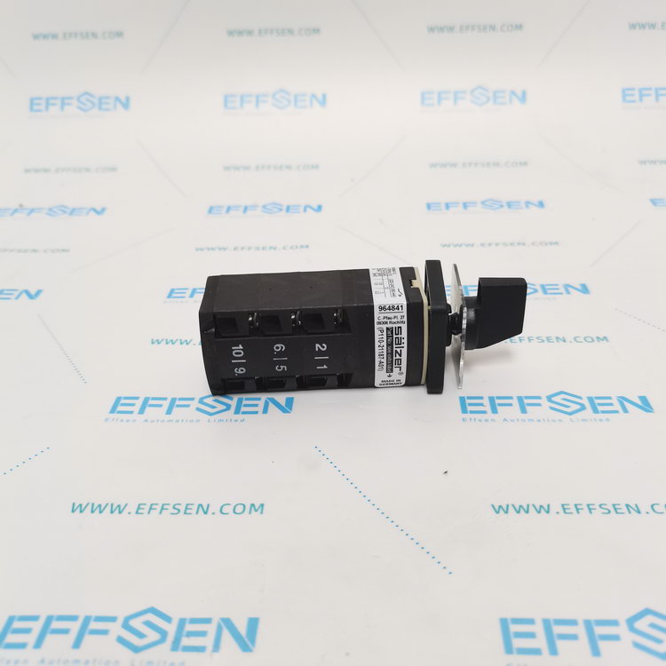 Salzer P110-SE0713 Rotary cam switch
