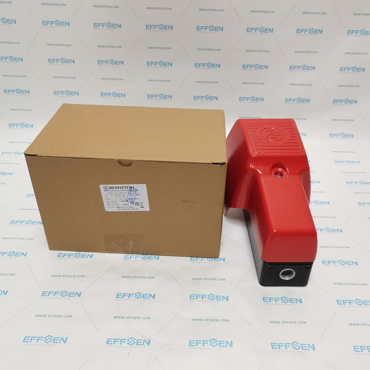 Bernstein F1-SU1Z UN Single Pedal Foot Switch