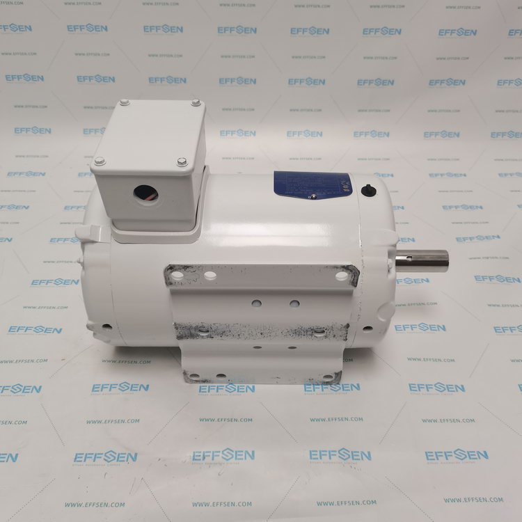 Baldor 1017151 Washdown inverter drive motor